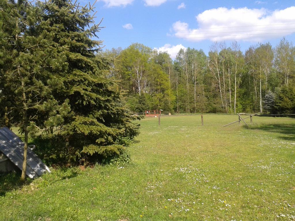 Chata Zahrada Madeta Veselí nad Lužnicí Exterior foto